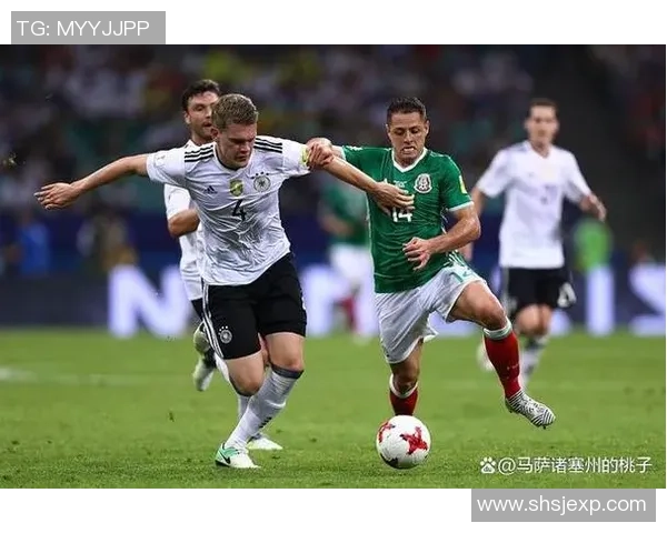 最新版德国足球星级评定标准深度解析与球员等级划分详解